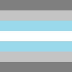 Le drapeau Demiboy