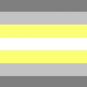 Le drapeau Demi non-binaire / Demigenre