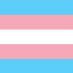 Le drapeau Transgenre
